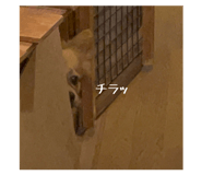 819187941