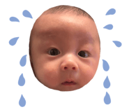 819244947