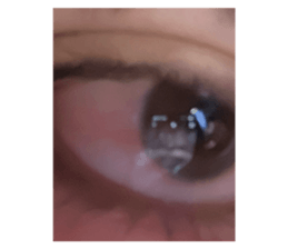 819267412