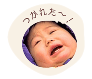 819299243