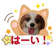 819300210
