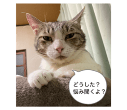 819306566