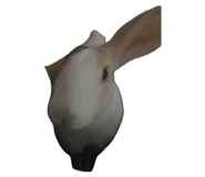 819387312