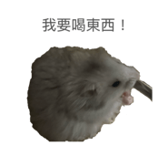 819387679