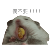 819387680