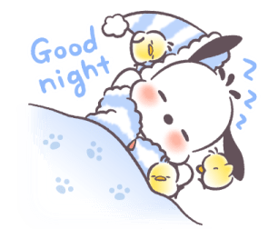 Pochacco ข้างกันทุกเวลา รูปที่ 20