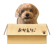 819553881