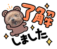 819553887