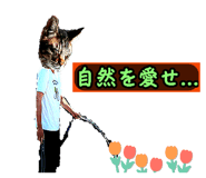 819577211