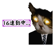 819577214