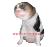819578065