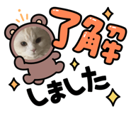 819597978