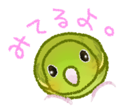 819628055