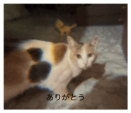 819689770
