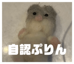 819692506