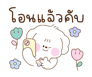 บอนจัง ใช้ได้ทุกวัน รูปที่ 4