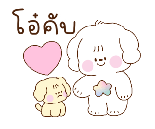 ลายที่ 43