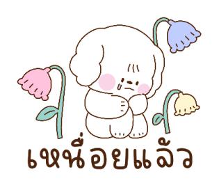 บอนจัง ใช้ได้ทุกวัน รูปที่ 23