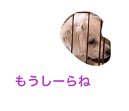 819754167