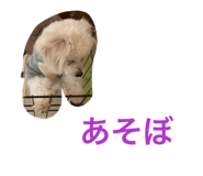 819754168