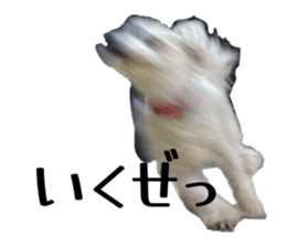 819773209
