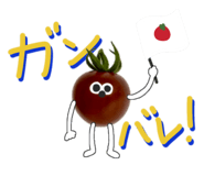 819777532