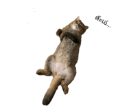 819803728