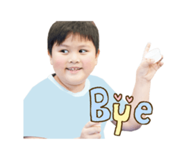 81986126