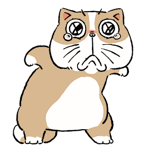 ลายที่ 9