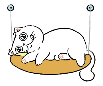 ลายที่ 11