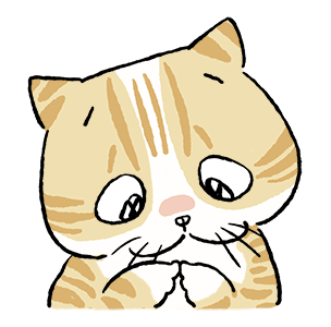 ลายที่ 13