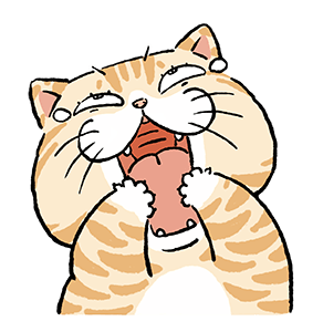 แมวจ๋า 2569 รูปที่ 13