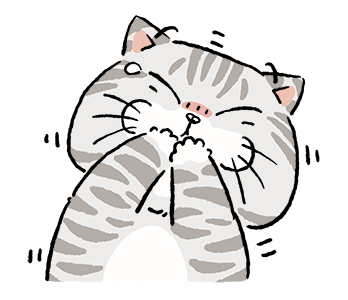 แมวจ๋า 2569 รูปที่ 14
