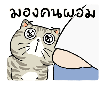 ลายที่ 29