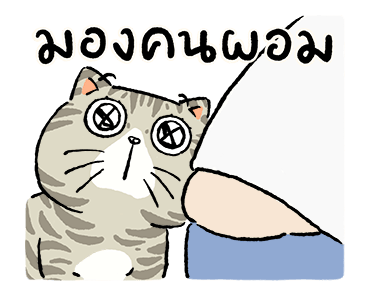 แมวจ๋า 2569 รูปที่ 15