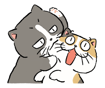 ลายที่ 31