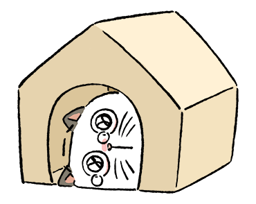 ลายที่ 33