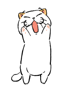 ลายที่ 41