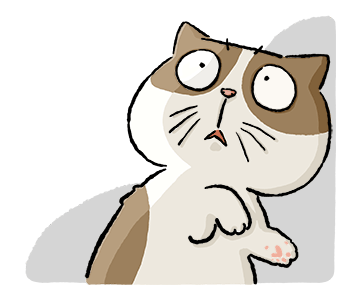 ลายที่ 43