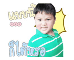 81986146