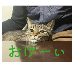 819862551
