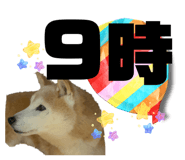 819866833