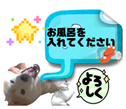 819866838