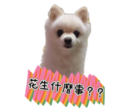 819884885
