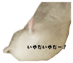 819890240
