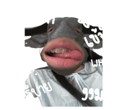 819894981