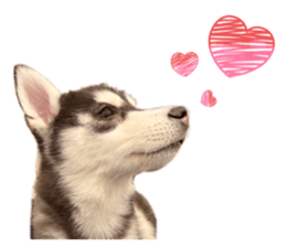 819895253