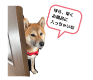 819967648