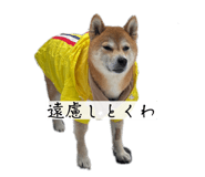 819967650