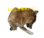 819967656